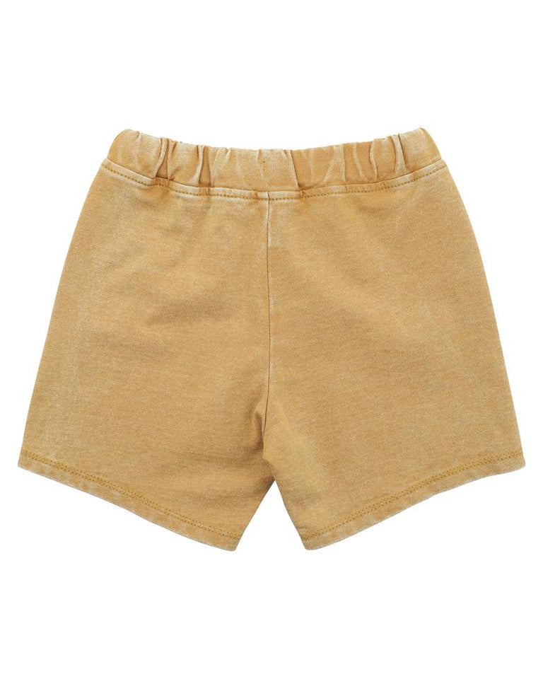 Bebe - Boys Mustard Shorts - 3-5yrs